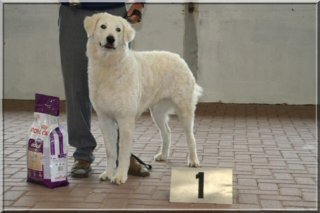 clubwinner2007.jpg