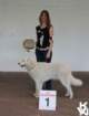 clubwinner2013_small.jpg