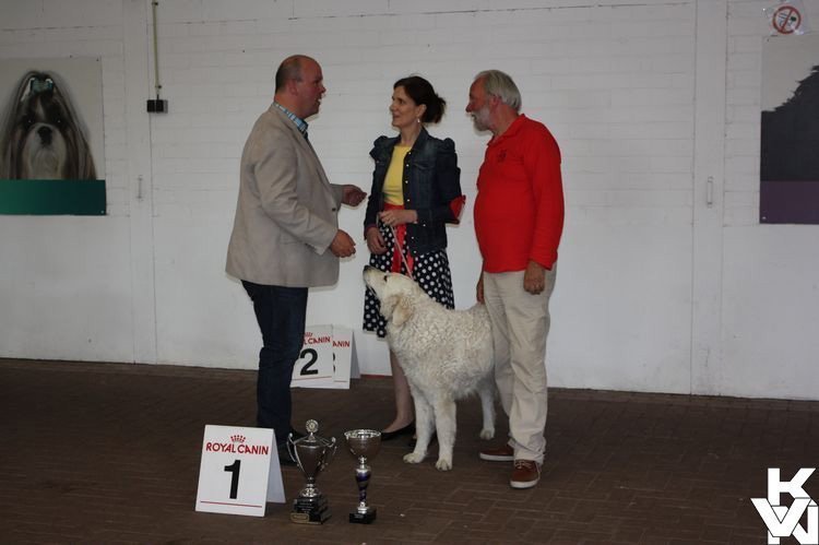 clubwinner2015.jpg