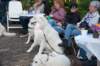dsc_2177_small.jpg