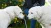 dsc_2180_small.jpg