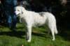 dsc_2182_small.jpg