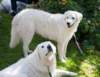 dsc_2183_small.jpg