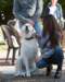 dsc_2190_small.jpg