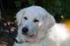 dsc_2197_small.jpg