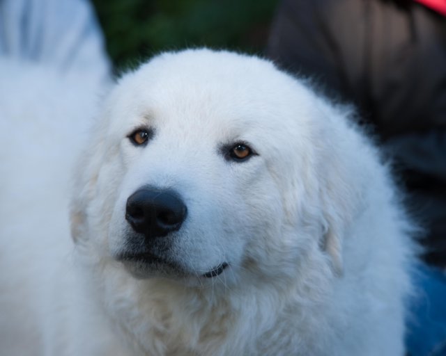 dsc_2199.jpg