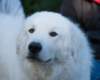 dsc_2199_small.jpg