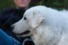 dsc_2200_small.jpg