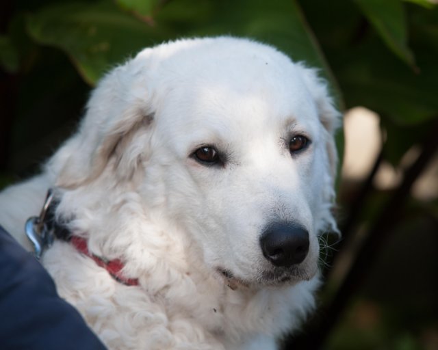 dsc_2204.jpg