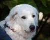 dsc_2204_small.jpg