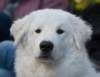 dsc_2209_small.jpg