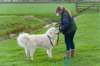 dsc_2210_small.jpg