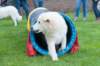 dsc_2214_small.jpg