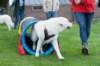 dsc_2218_small.jpg