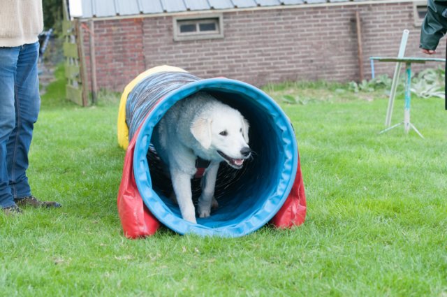 dsc_2225.jpg
