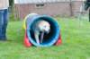 dsc_2225_small.jpg