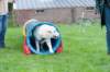 dsc_2226_small.jpg