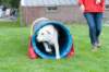 dsc_2229_small.jpg