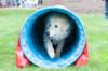 dsc_2235_small.jpg