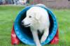 dsc_2236_small.jpg