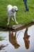 dsc_2255_small.jpg