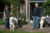 dsc_2278_small.jpg