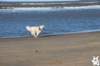 img_3031_small.jpg