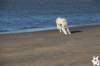 img_3033_small.jpg