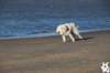 img_3034_small.jpg