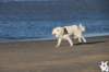 img_3035_small.jpg