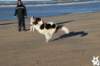 img_3044_small.jpg