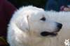 dsc_1766_small.jpg