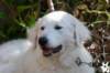 dsc_1770_small.jpg