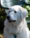 dsc_1772_small.jpg