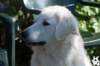 dsc_1773_small.jpg