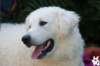 dsc_1774_small.jpg