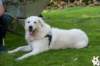 dsc_1775_small.jpg