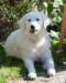 dsc_1781_small.jpg