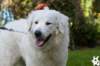 dsc_1782_small.jpg