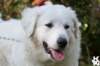 dsc_1783_small.jpg