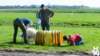 dsc_1785_small.jpg