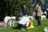 dsc_1792_small.jpg