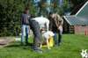 dsc_1795_small.jpg
