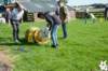 dsc_1796_small.jpg