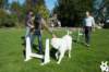 dsc_1799_small.jpg