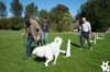 dsc_1800_small.jpg
