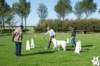 dsc_1801_small.jpg