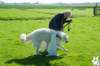 dsc_1803_small.jpg
