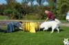 dsc_1804_small.jpg