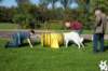 dsc_1805_small.jpg